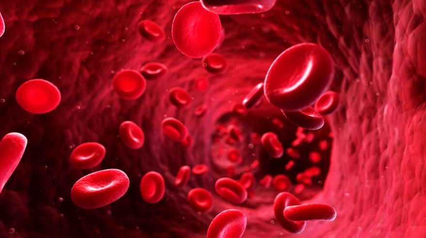Trudose Therapy Explained